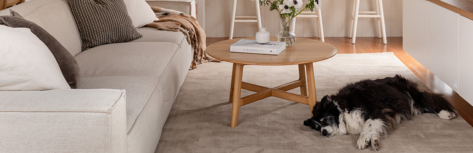 Find the Perfect Palette: Trending Rug Colours and How to Use Them in Your Home