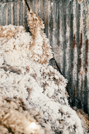How To Clean Sheepskin & Wool Rugs: Get Rid Of Stubborn Fur Balls From Your Rug