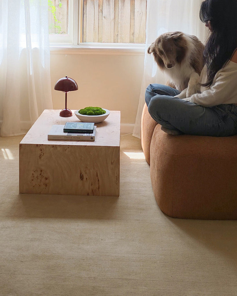 Alek Cream Handwoven Rug