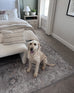 Ava Grey and Gold Traditional Distressed Washable Rug