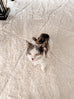 Calypso Ivory Cream Textured Tribal Round Rug