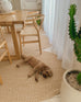 Cynthia Beige Modern Braided Indoor Outdoor Rug