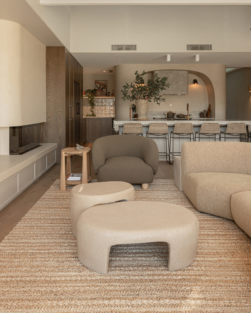 Eboni Chunky Braided Jute and Cotton Rug