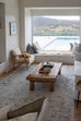 Elisha Grey and Blue Traditional Distressed Medallion Rug