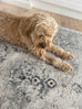 Elisha Grey and Blue Traditional Distressed Medallion Rug