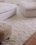 Ernestine Ivory Shag Rug