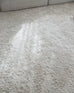 Ernestine Ivory Shag Rug