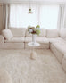 Ernestine Ivory Shag Rug