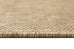 Ilya Sandy Beige Woven Indoor Outdoor Rug