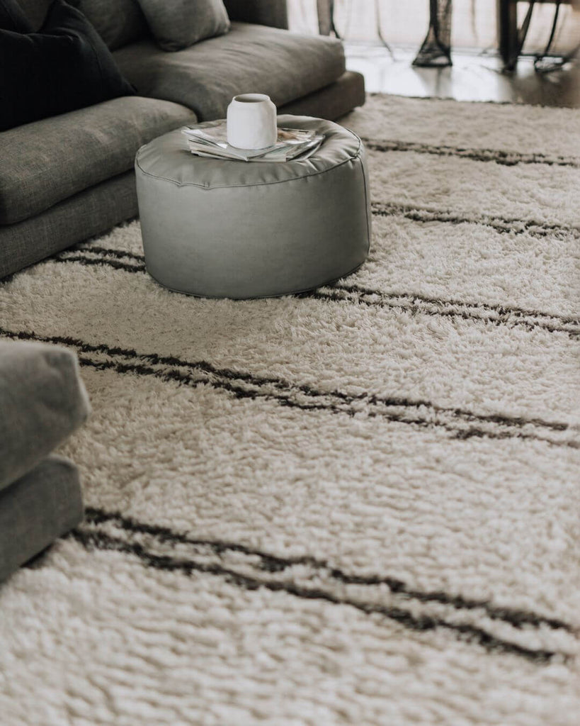 Irina Ivory And Charcoal Grey Shag Rug