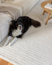 Rafiella Ivory Braided Indoor Outdoor Rug