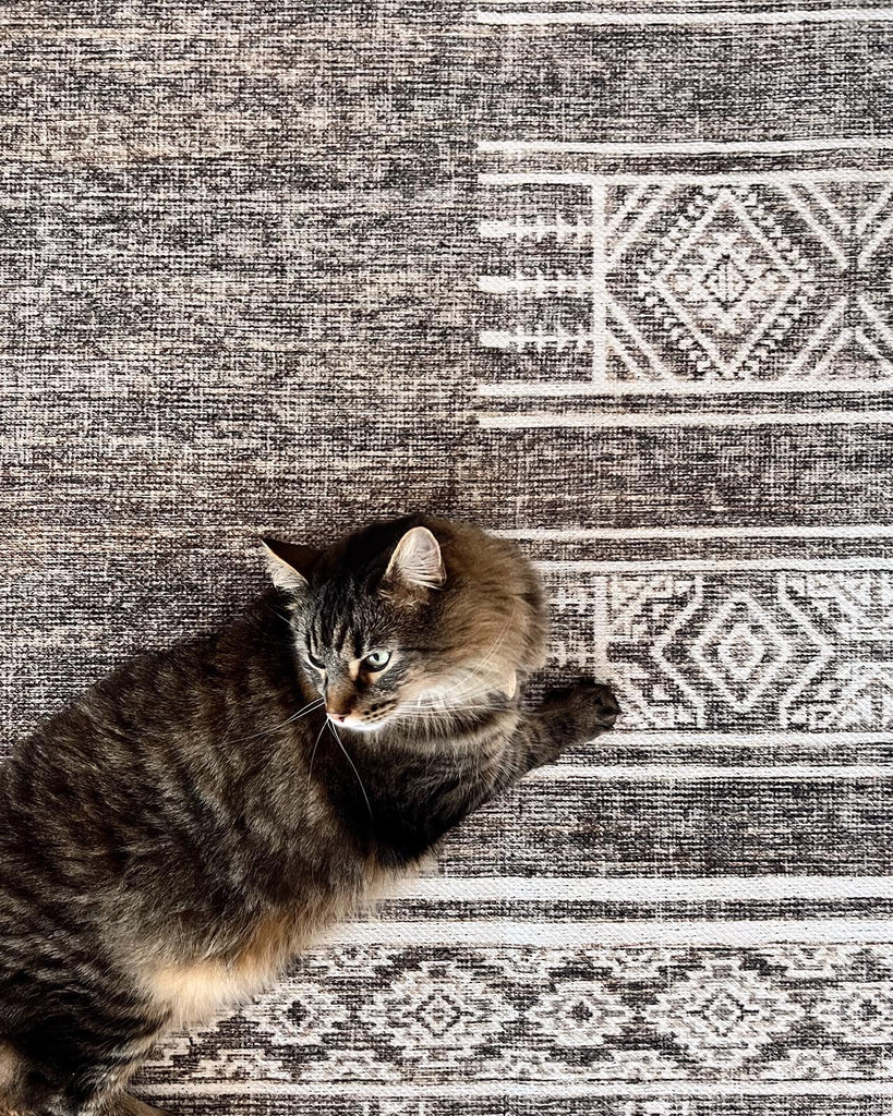 Raia Charcoal and Grey Tribal Distressed Washable Rug