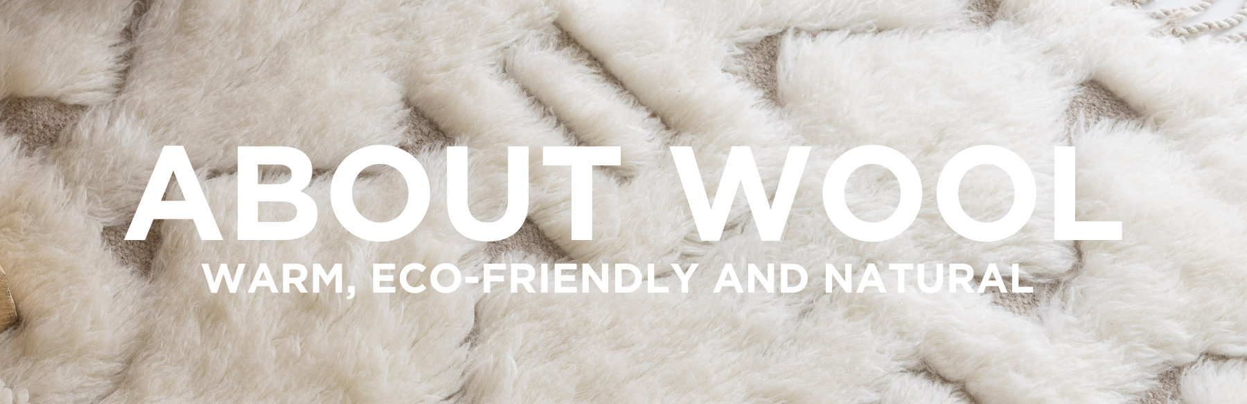 Wool: The Warm, Eco-Friendly & Natural Fibre