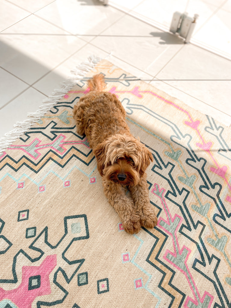 Debunking The 3 Myths Are Polypropylene Rugs Safe debunking-the-3-myths-are-polypropylene-rugs-safe