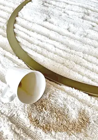 Stainvincible Collection