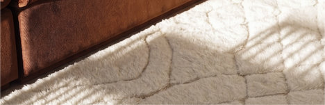 Hallway with stylish rugs