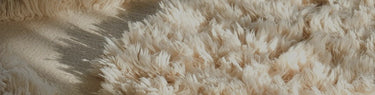 Hallway with stylish wool rug