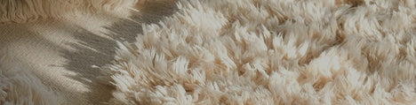 Hallway with stylish wool rug