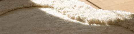 Hallway with stylish wool rug
