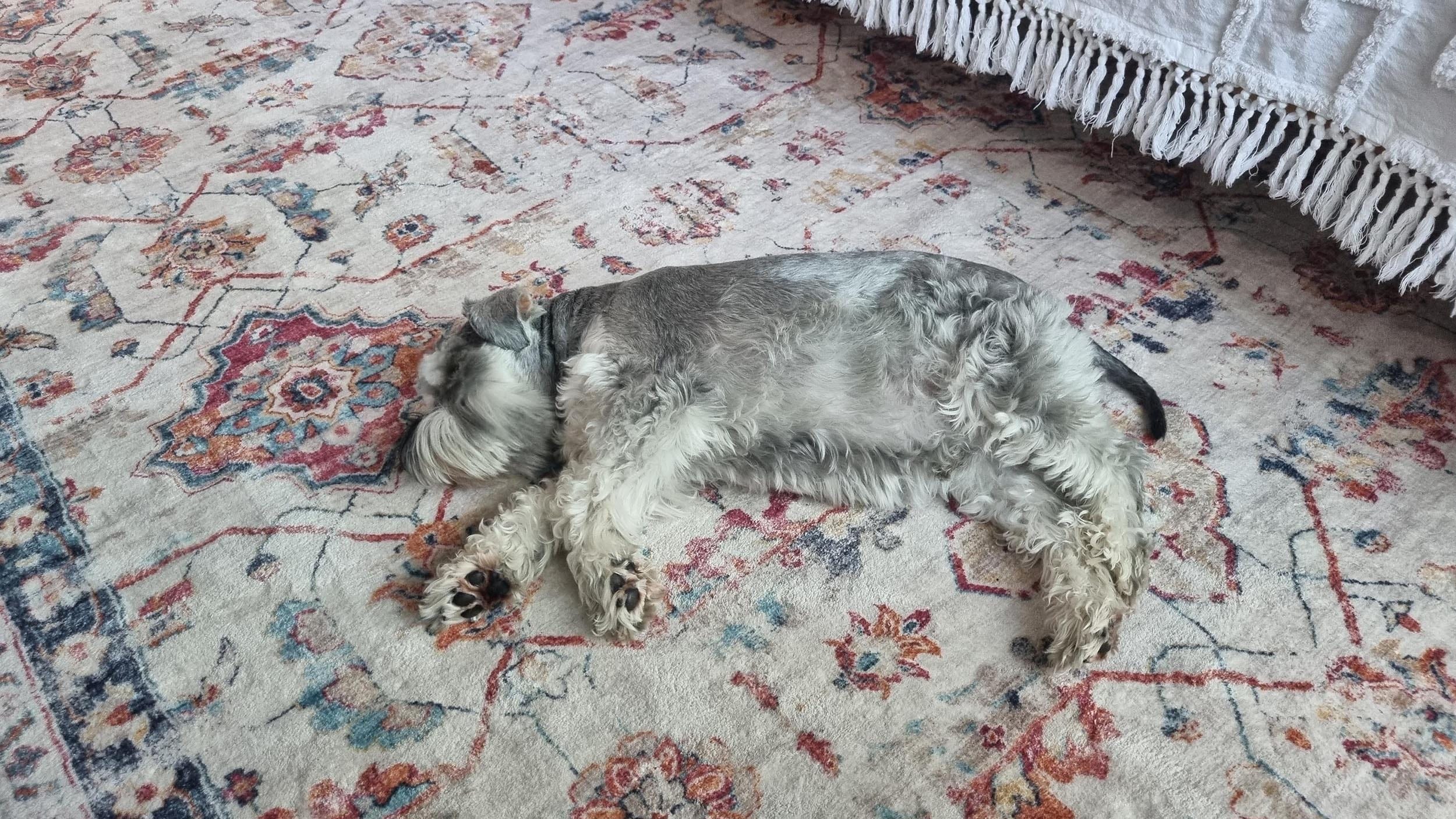 Orange Rugs | Free Shipping Australia-Wide | Miss Amara