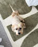 Azibo Green Abstract Washable Wool Rug