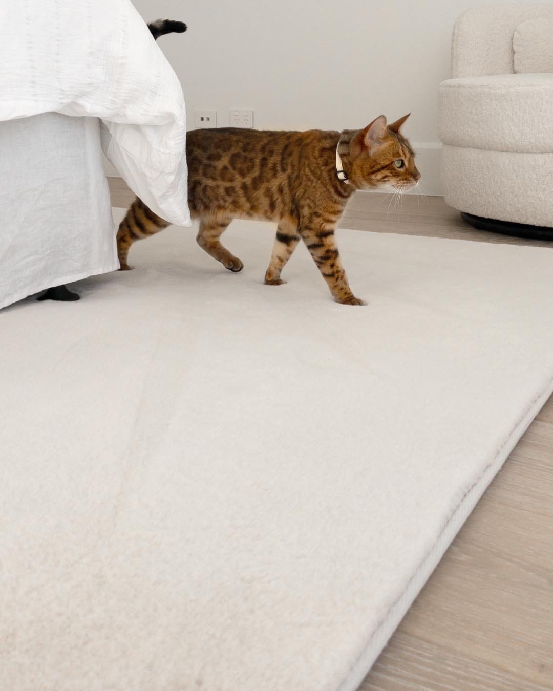 Becca Cream Shag Rug