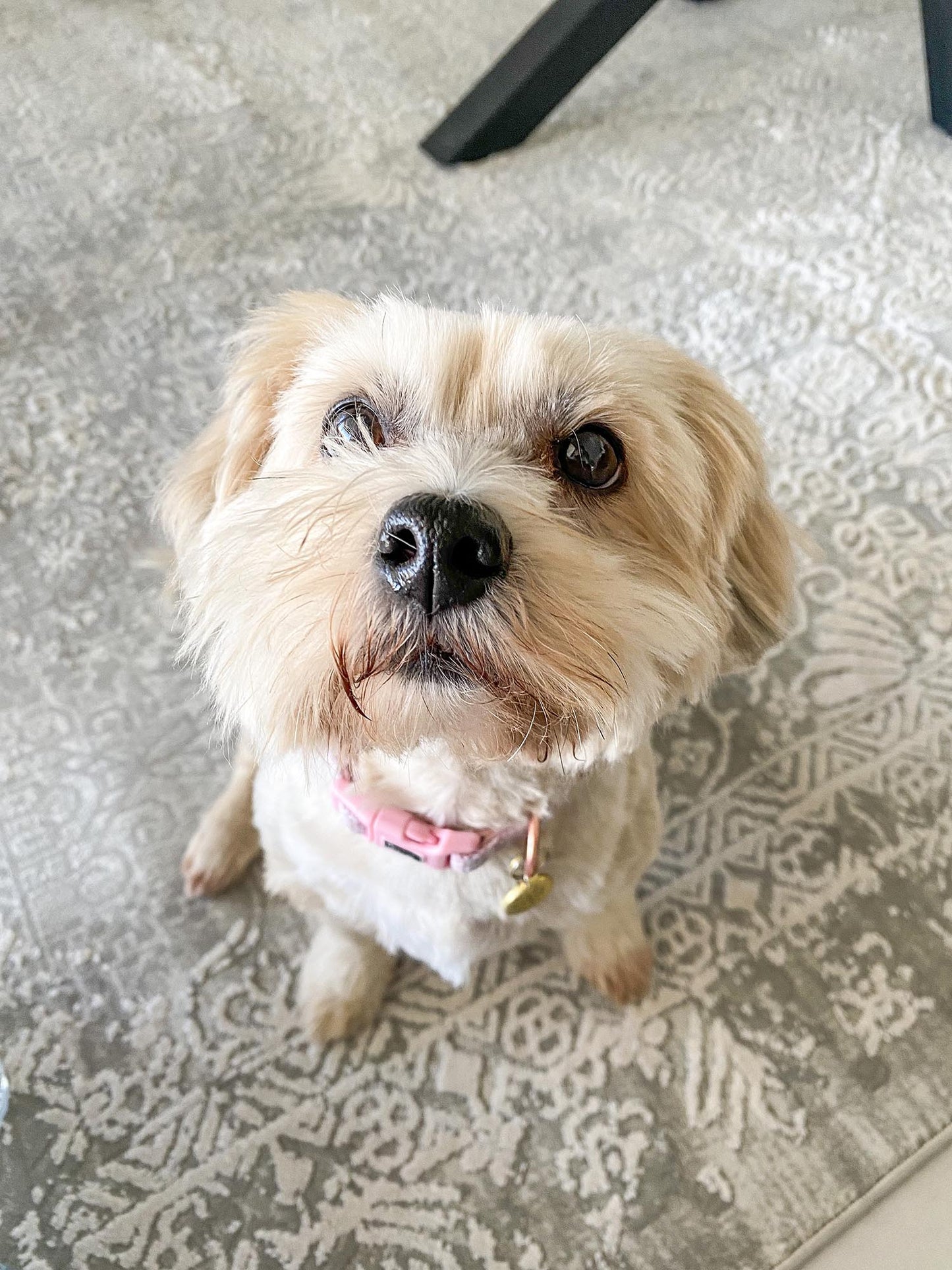 Cecilia Grey and Ivory Distressed Floral Rug