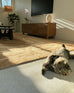 Chandra Brown Hand Drawn Washable Rug