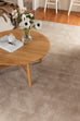 Codie Beige Handwoven PET Rug