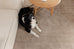 Codie Beige Handwoven PET Rug