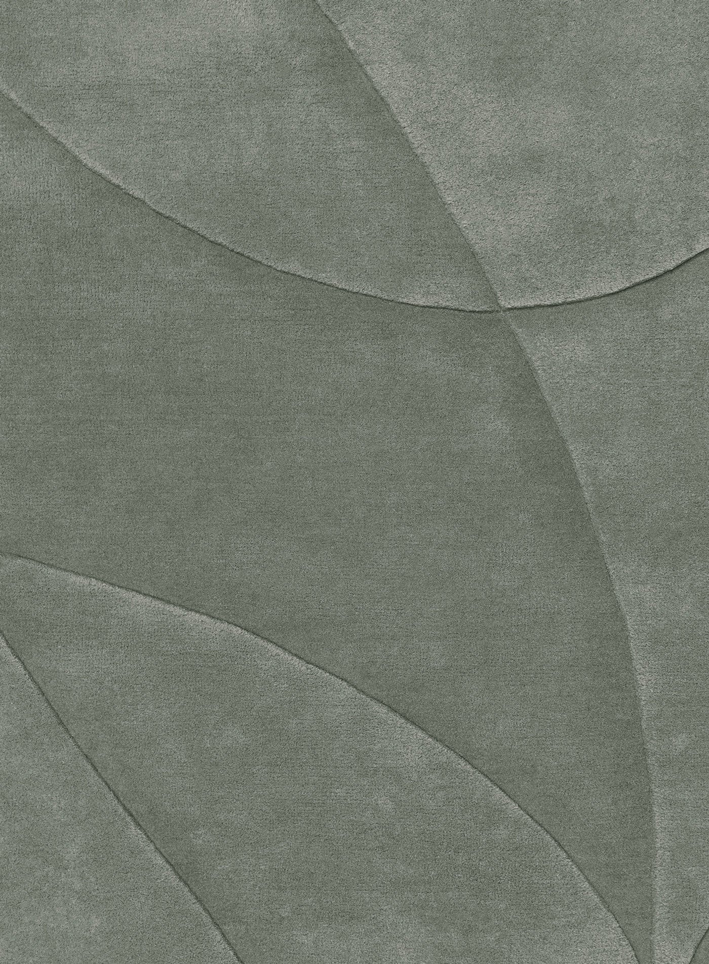 Colandria Seagrass Carved Wool Rug