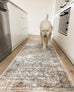 Constance Beige And Blue Distressed Floral Runner Rug