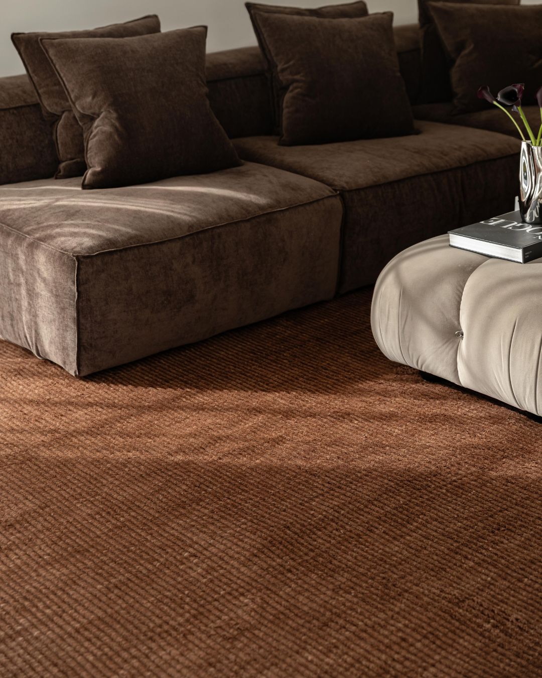 Dariel Handloomed Brown Rug