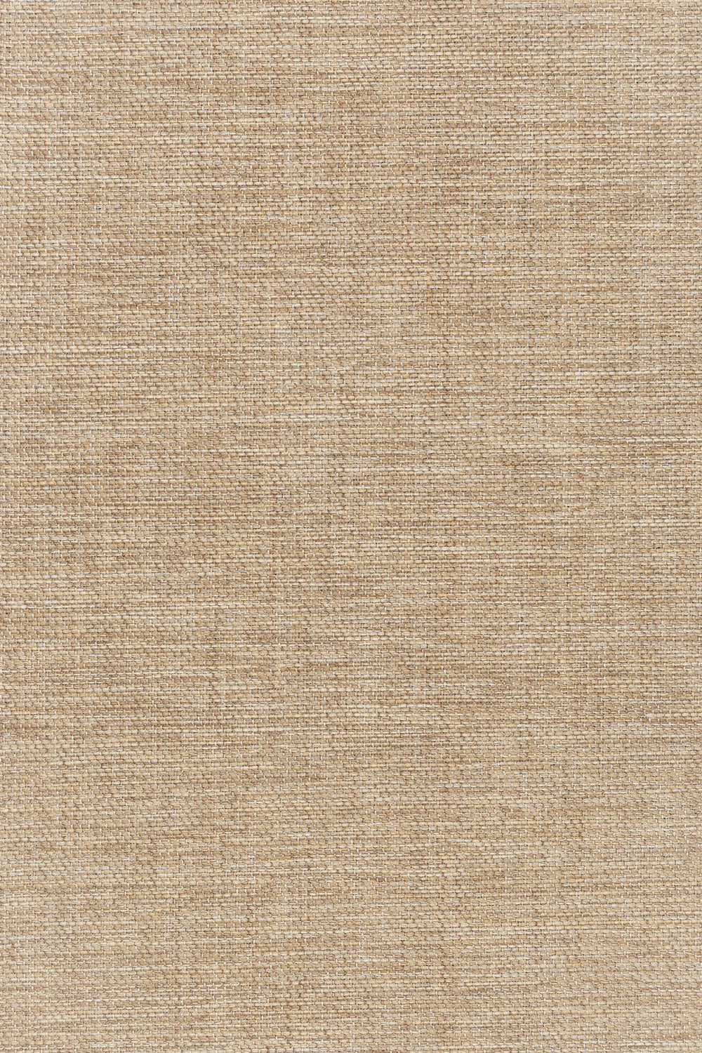 Dune Natural Beige Woven Indoor Outdoor Rug