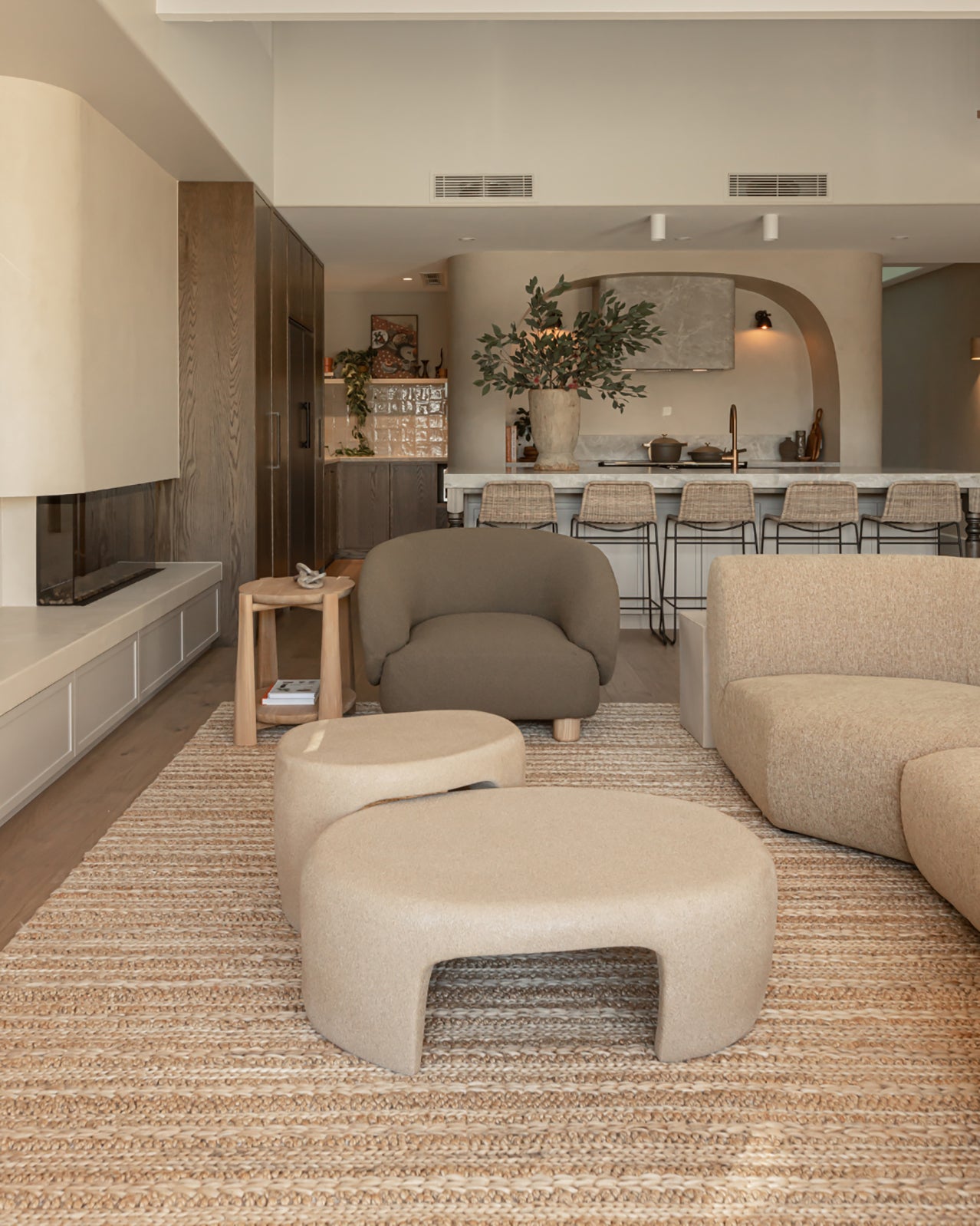 Eboni Chunky Braided Jute and Cotton Rug