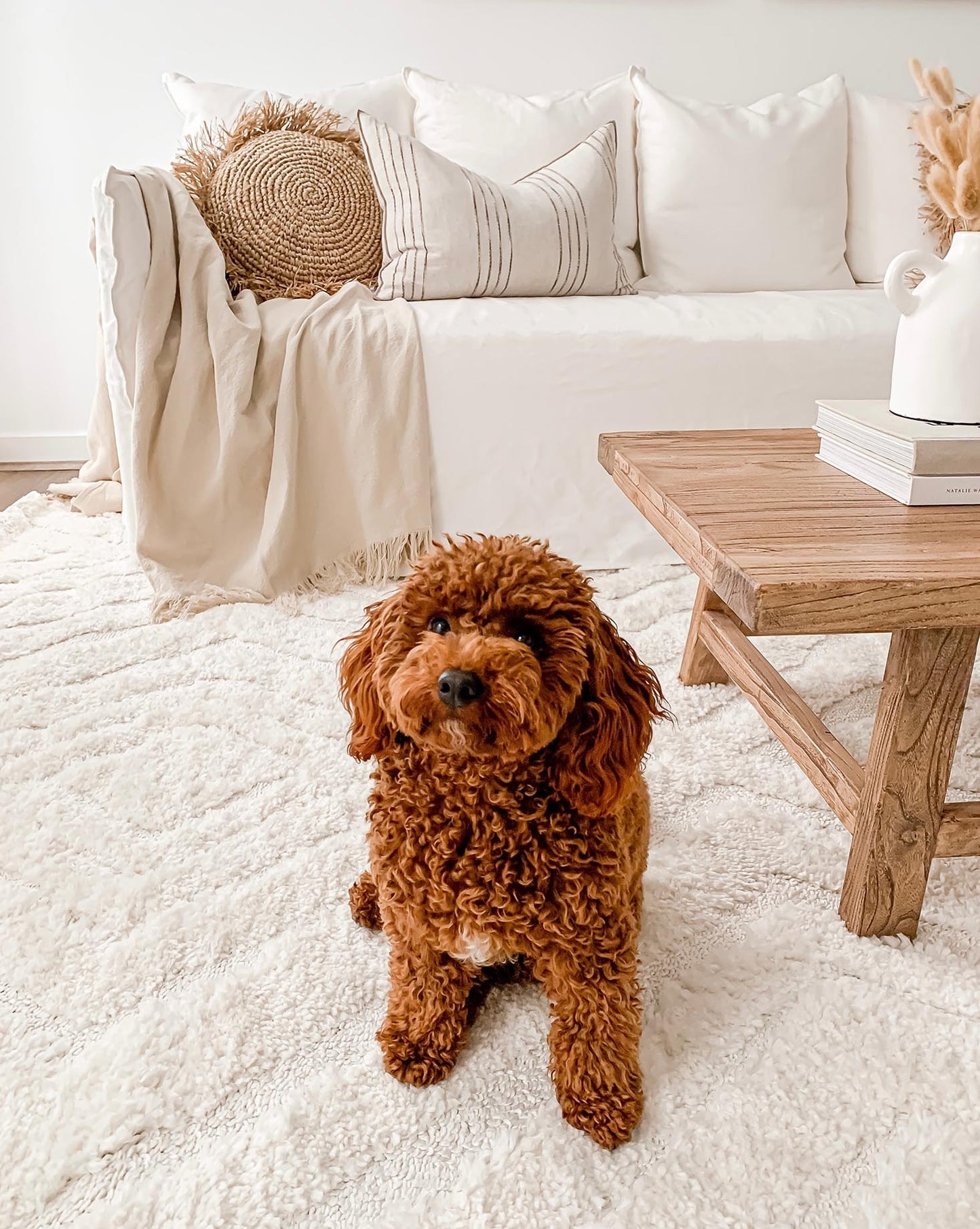 Elmira Ivory Cream Diamond Tribal Rug