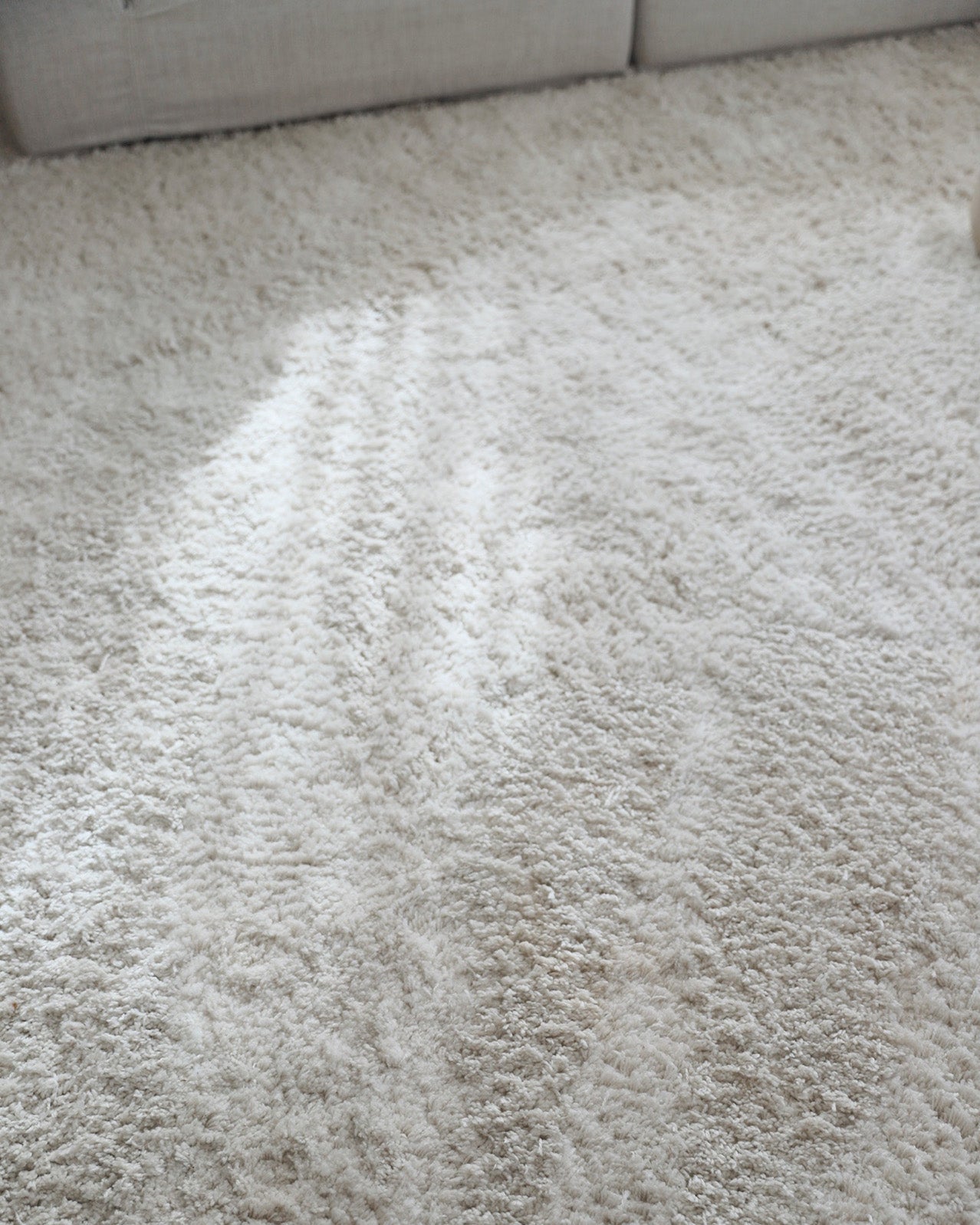 Ernestine Ivory Shag Rug