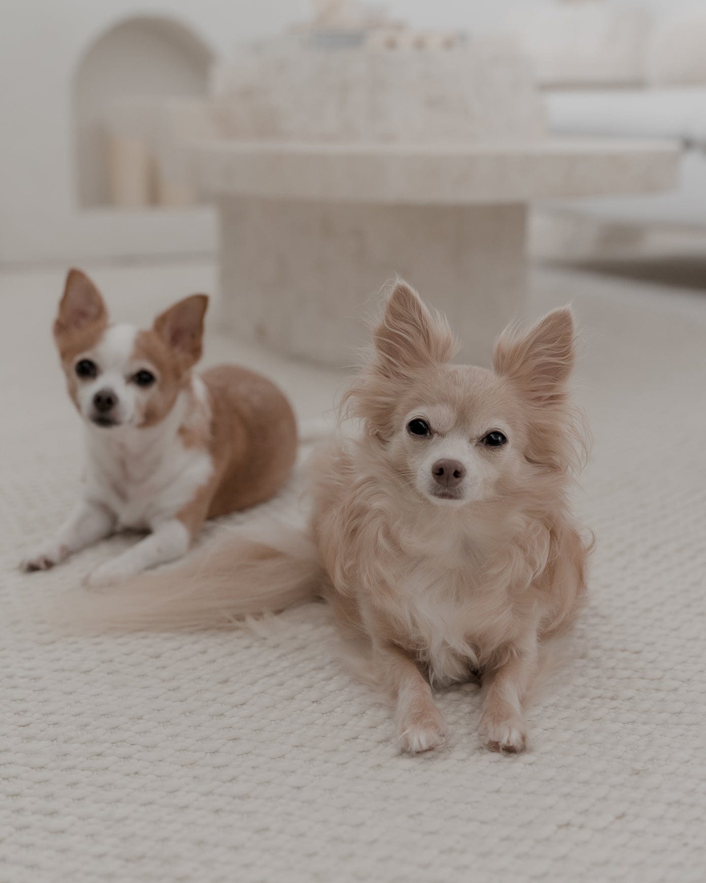 Greta Ivory Indoor Outdoor P.E.T Rug