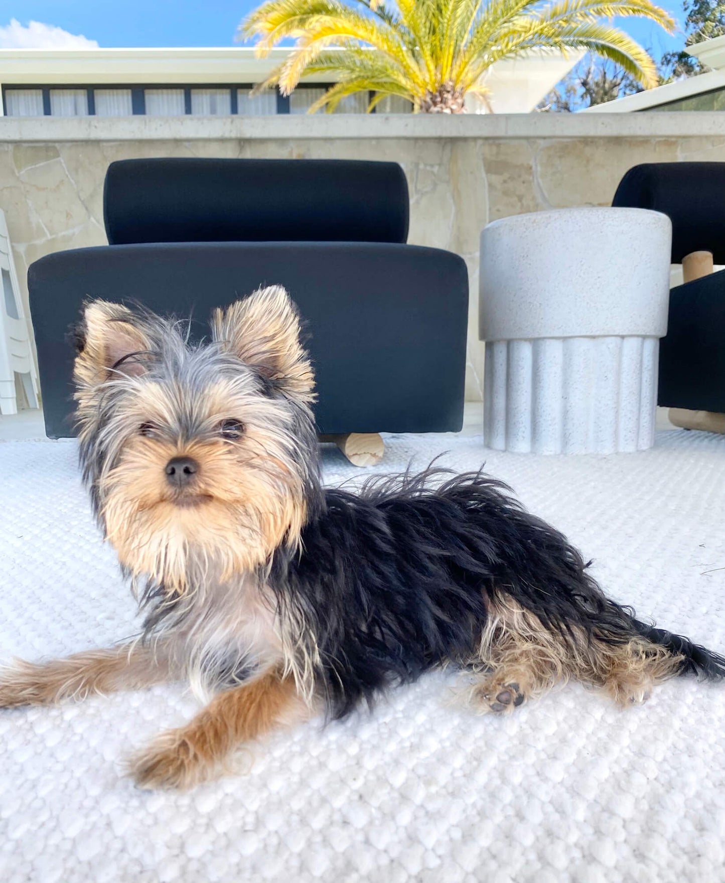 Greta Ivory Indoor Outdoor P.E.T Rug