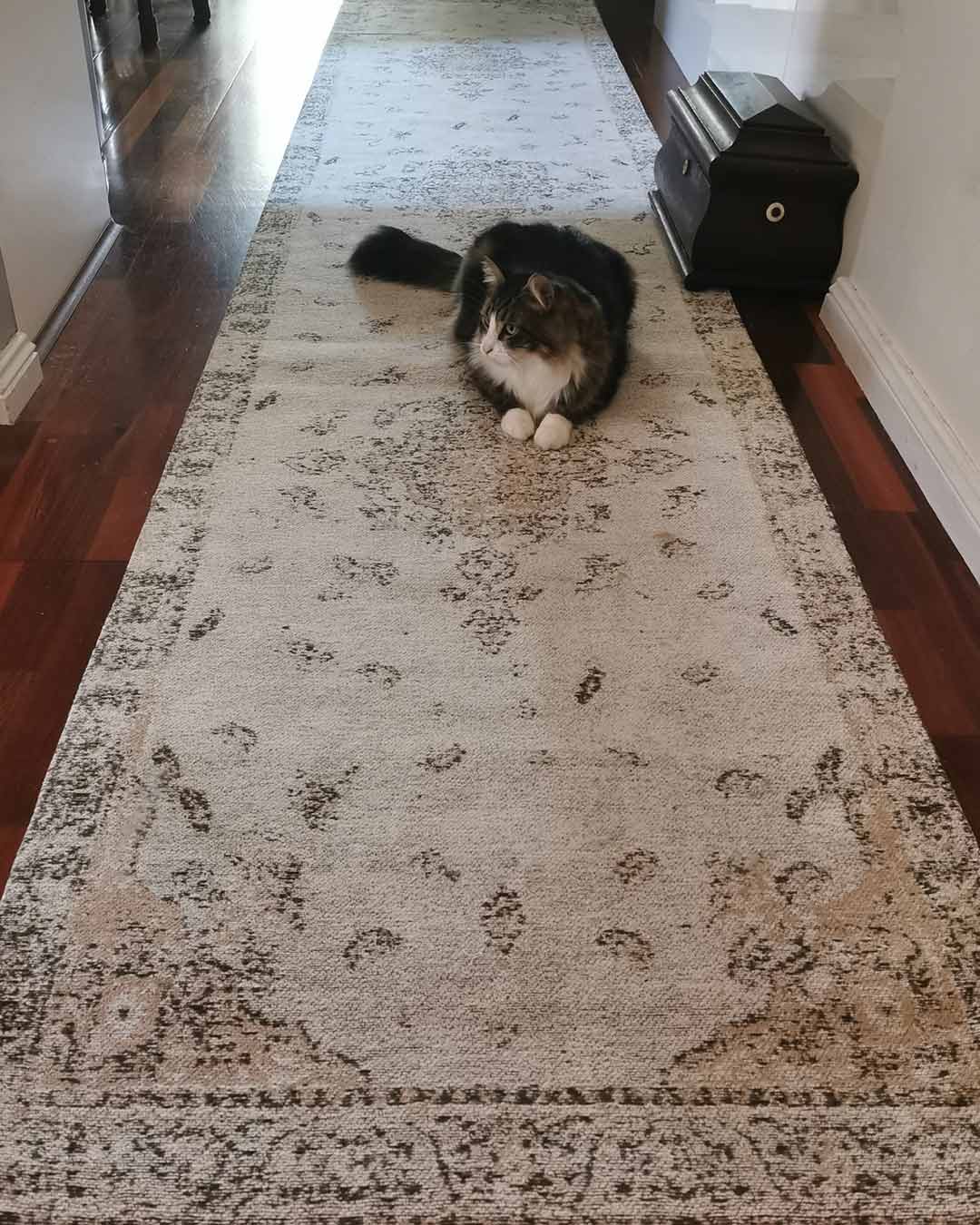 Helena White and Peach Turkish Style Distressed Runner Rug