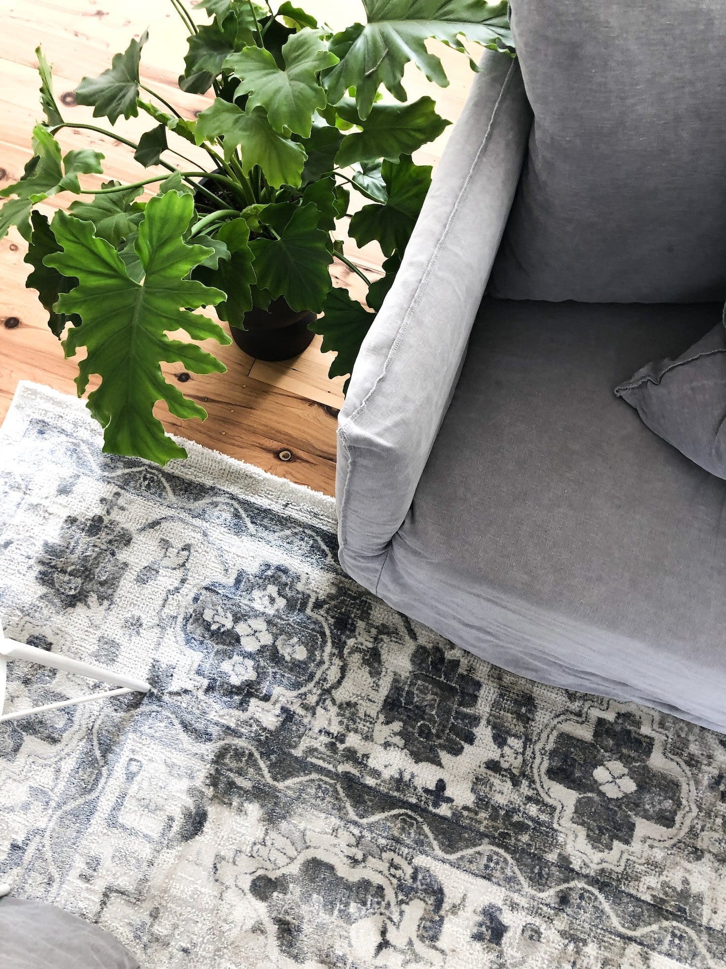 Iman Blue and Grey Transitional Rug