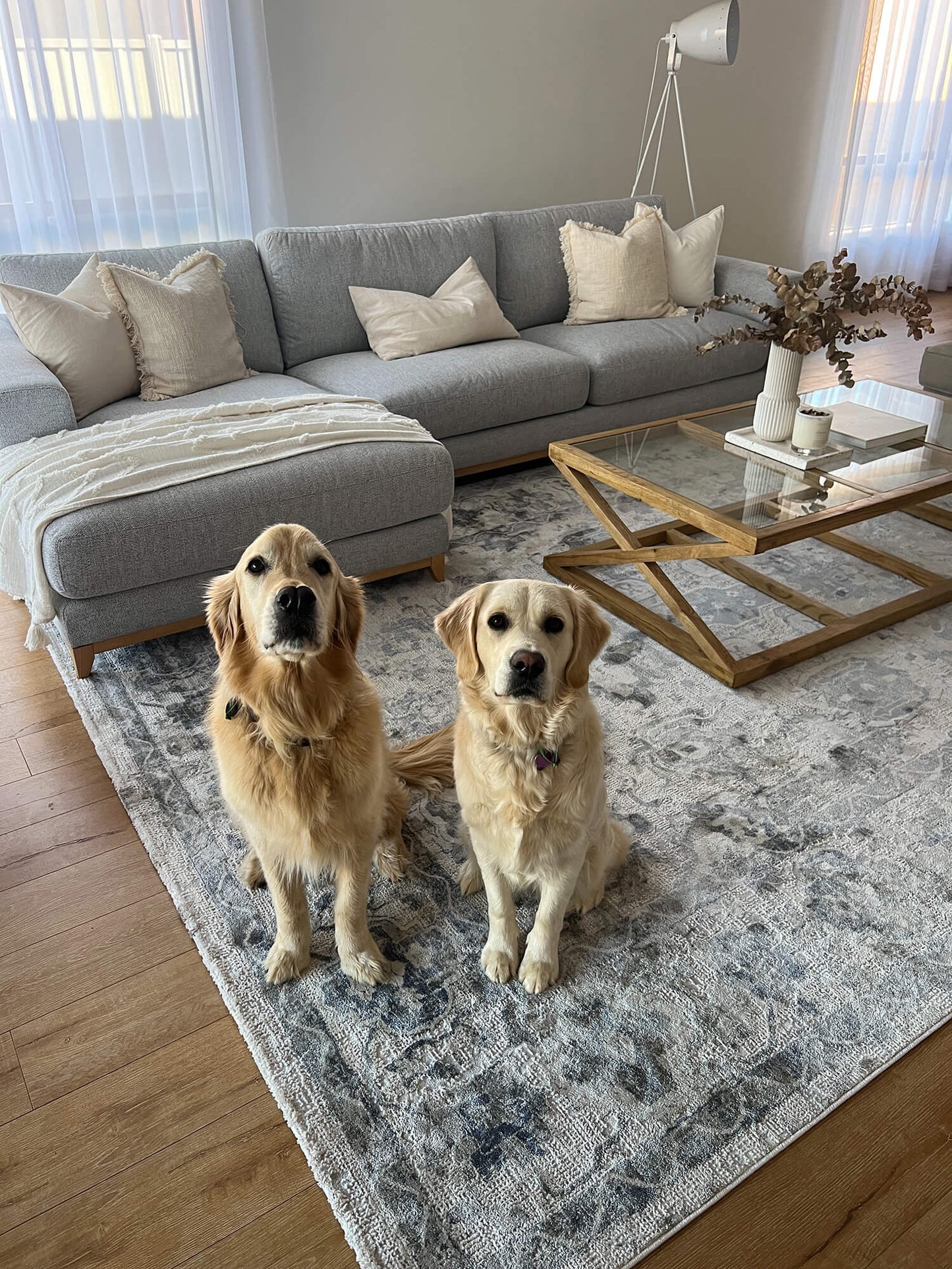 Iman Blue and Grey Transitional Rug