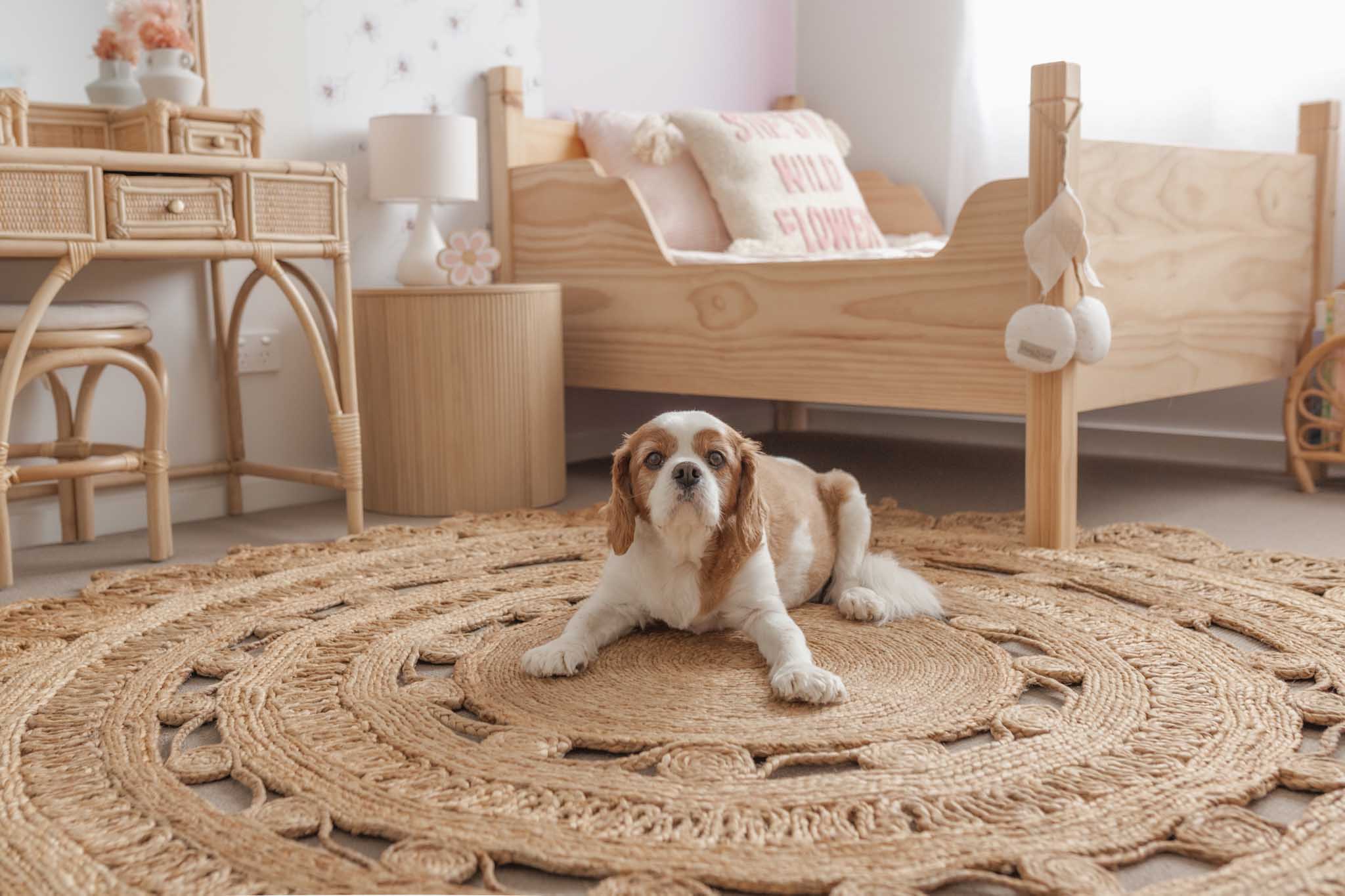 Round Rugs | Buy Round Rugs Online | Miss Amara