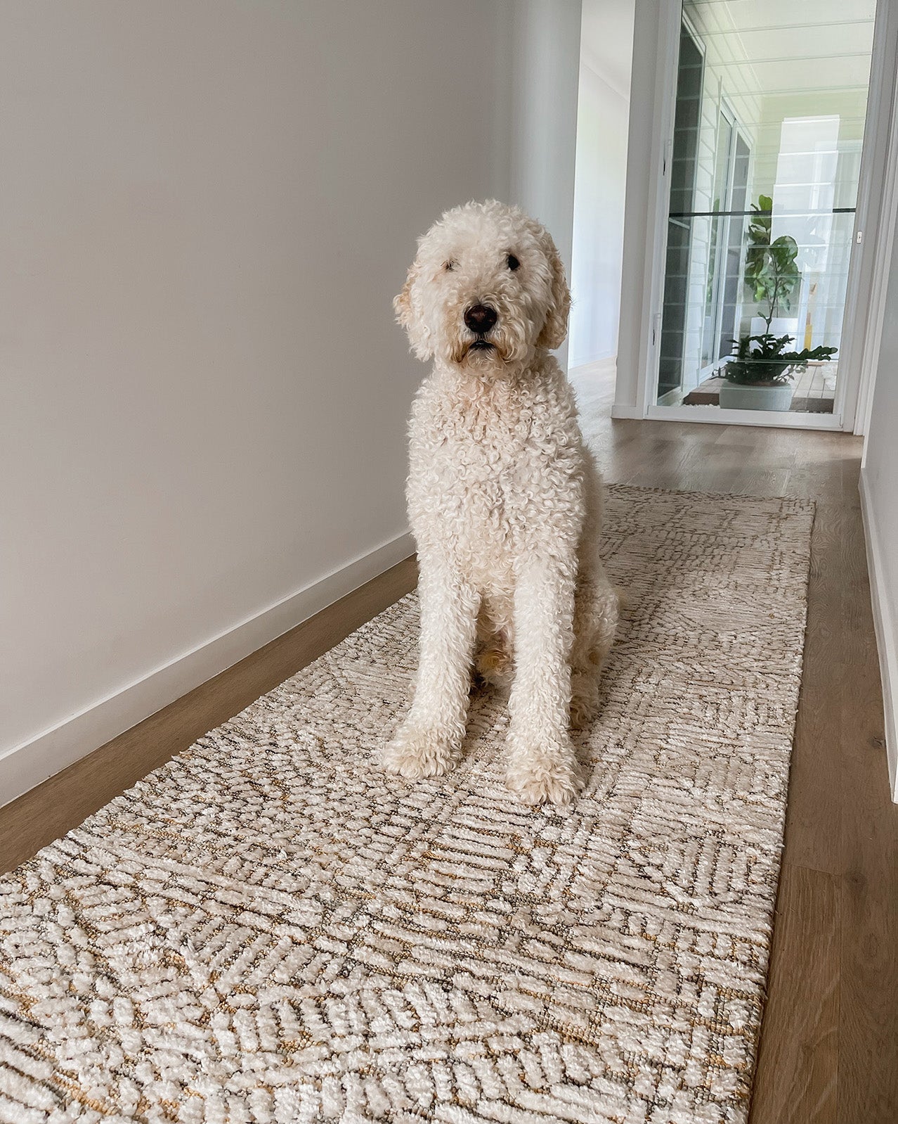 Modern runner outlet rug