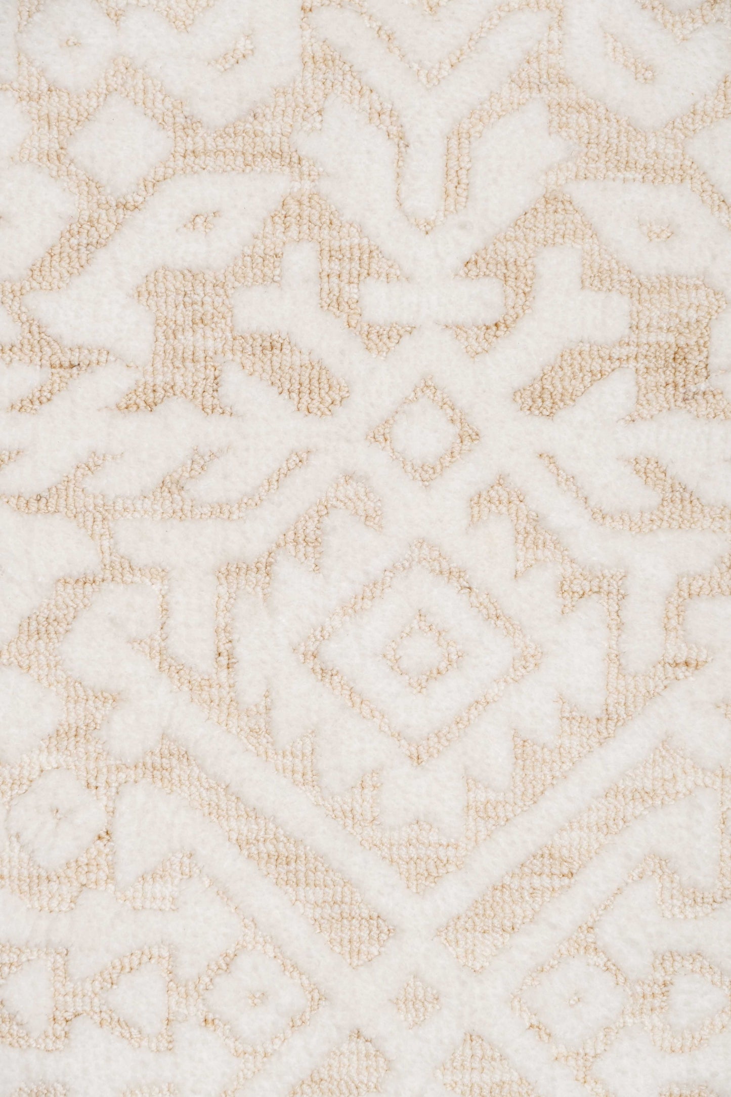 Josephine Ivory and Cream Tribal Transitional Rug