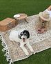 Josie Neutral Beige Boho Picnic Rug