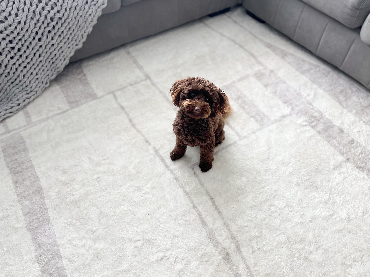 Kaliko Beige Abstract Pattern Washable Rug