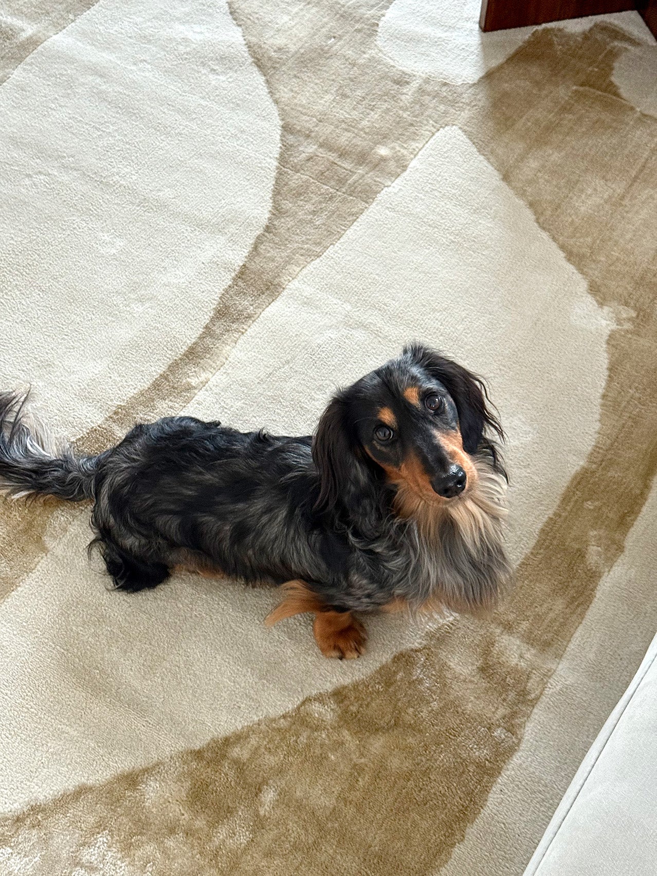 Kallua Textured Abstract Neutral Rug