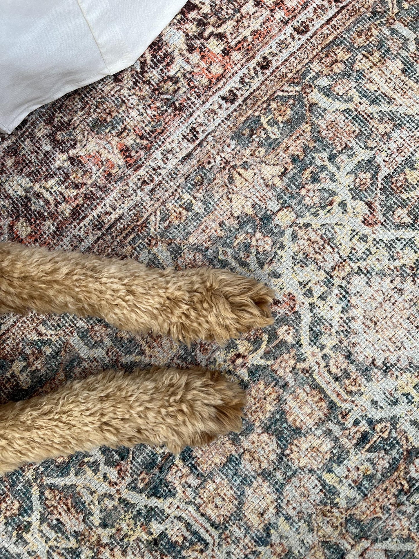 Krisna Brown and BlueTraditional Distressed Washable Rug