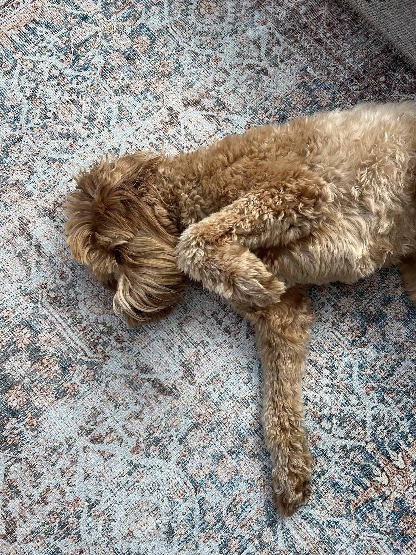 Krisna Brown and BlueTraditional Distressed Washable Rug